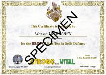 brown-belt certificate