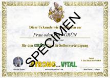 grün-gurt-urkunde